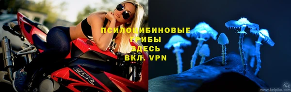 не бодяженный Алзамай