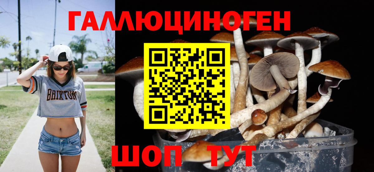 Псилоцибиновые грибы ЛСД Киреевск